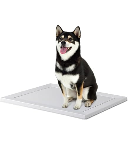 alt_TRAY 犬用トイレ Amazon | alt_TRAY(オルトトレー) 犬用トイレトレー (WIDE, WHITE